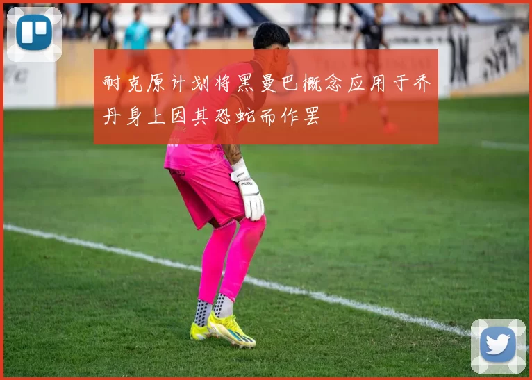 耐克原计划将黑曼巴概念应用于乔丹身上因其恐蛇而作罢