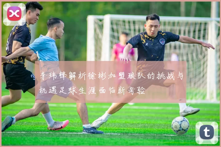 李玮锋解析徐彬加盟狼队的挑战与机遇足球生涯面临新考验